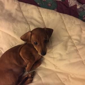 Meet your Posher, Patti